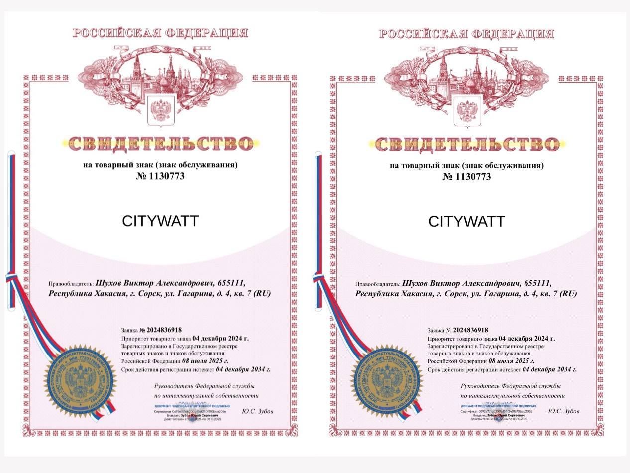 Свидетельство о регистрации товарного знака «CITYWATT»